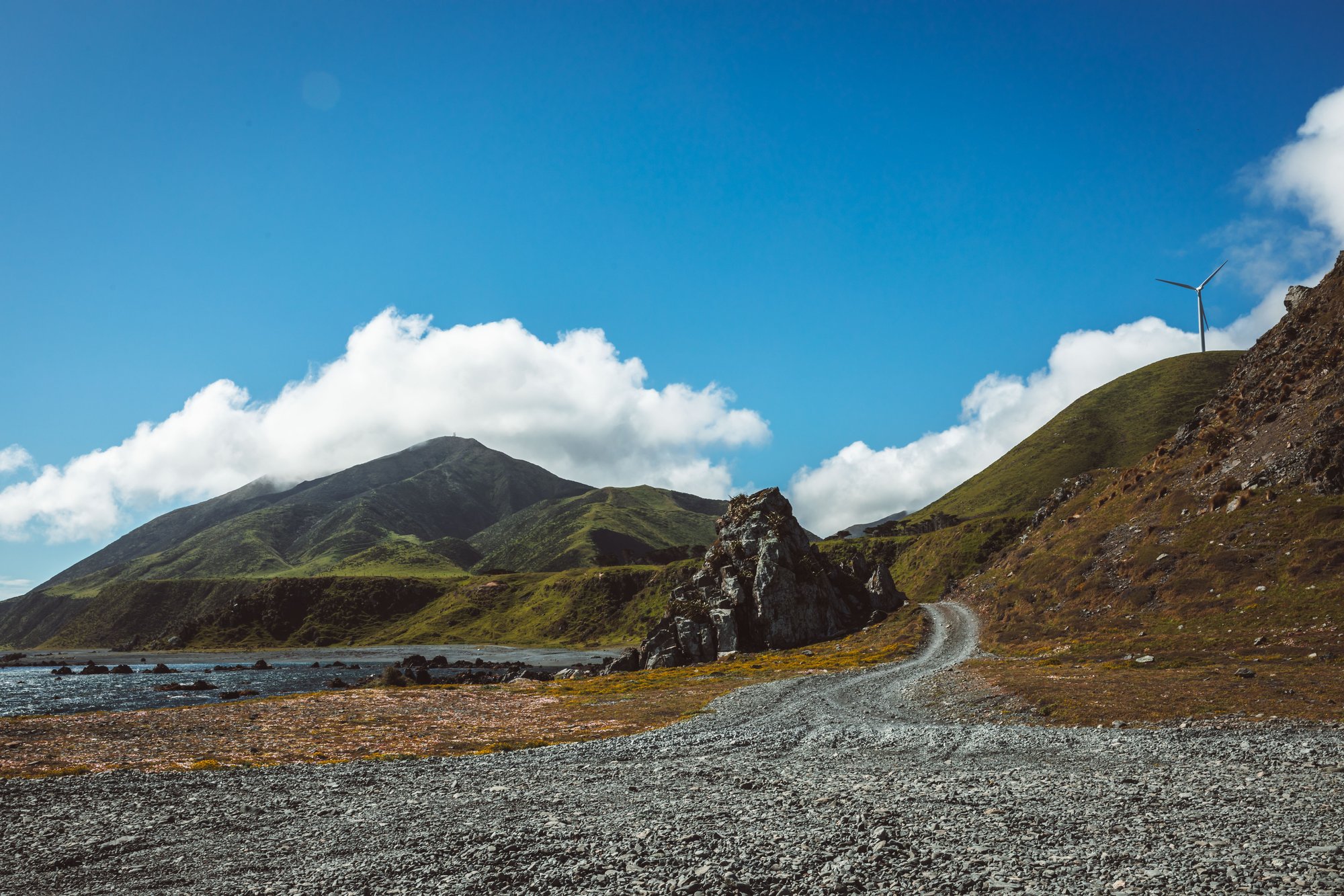 WNZ_Wanderlust Tours_07112024_Credit_WellingtonNZ_Phoebe Mackenzie_-117 (1)